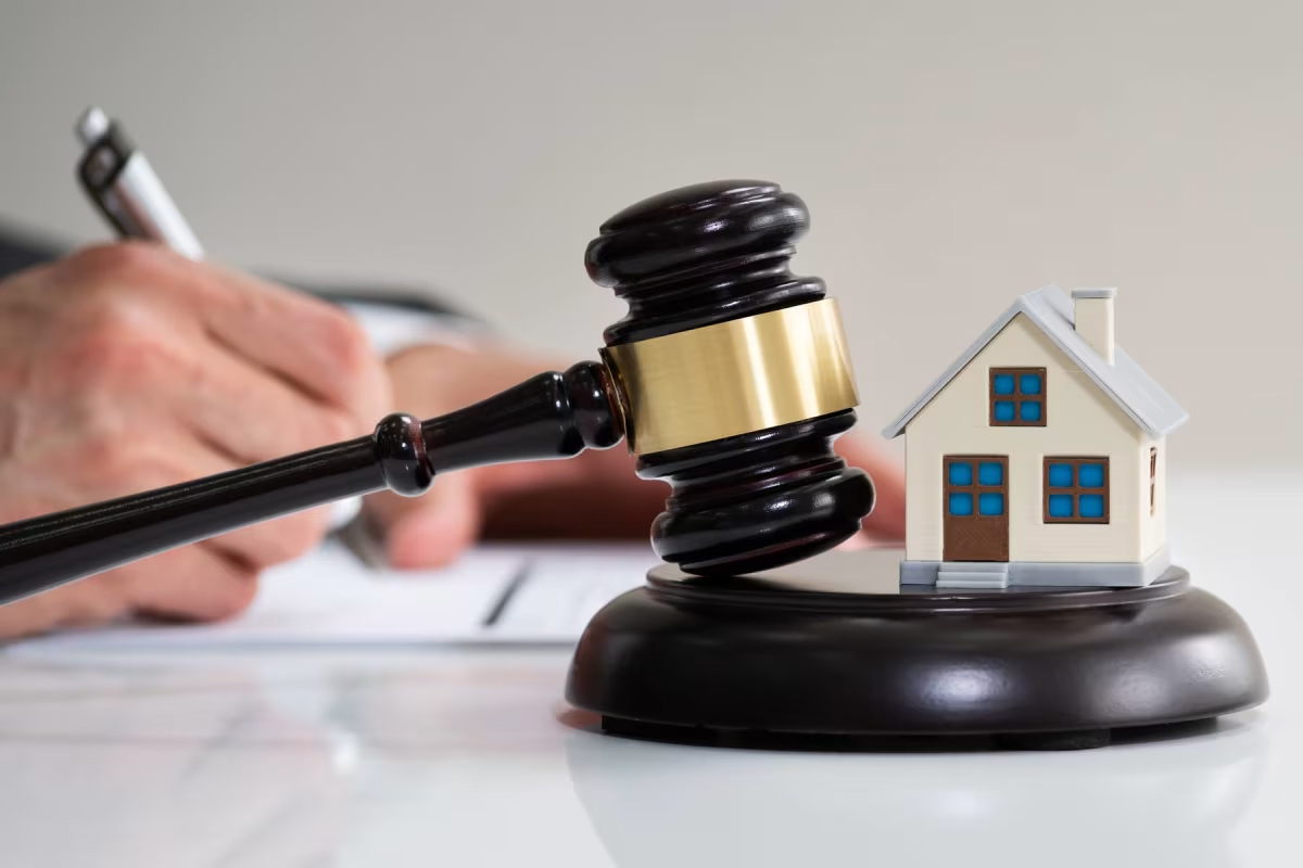 Property & Real Estate